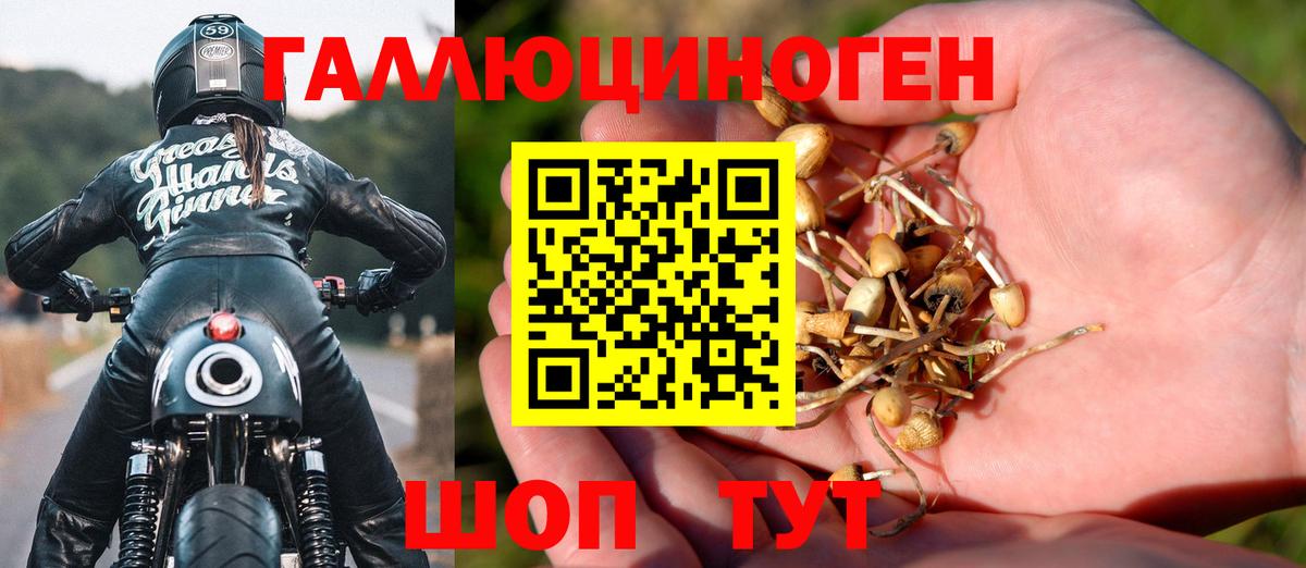 ТГК Надым
